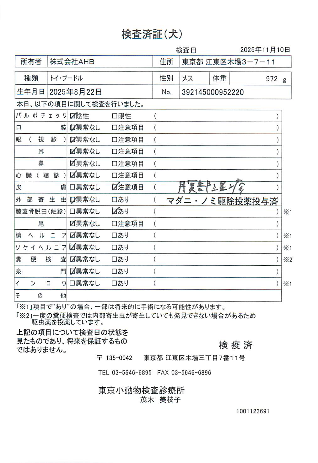 トイ・プードル