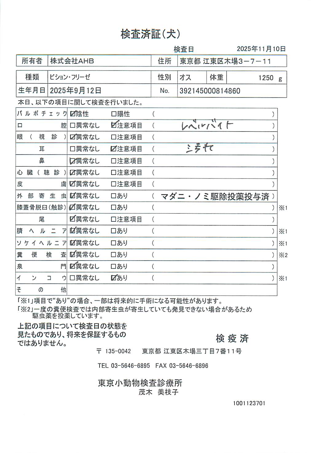 ビション・フリーゼ