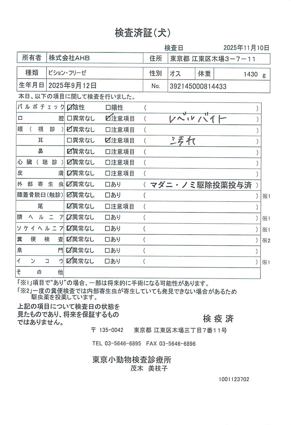 ビション・フリーゼ