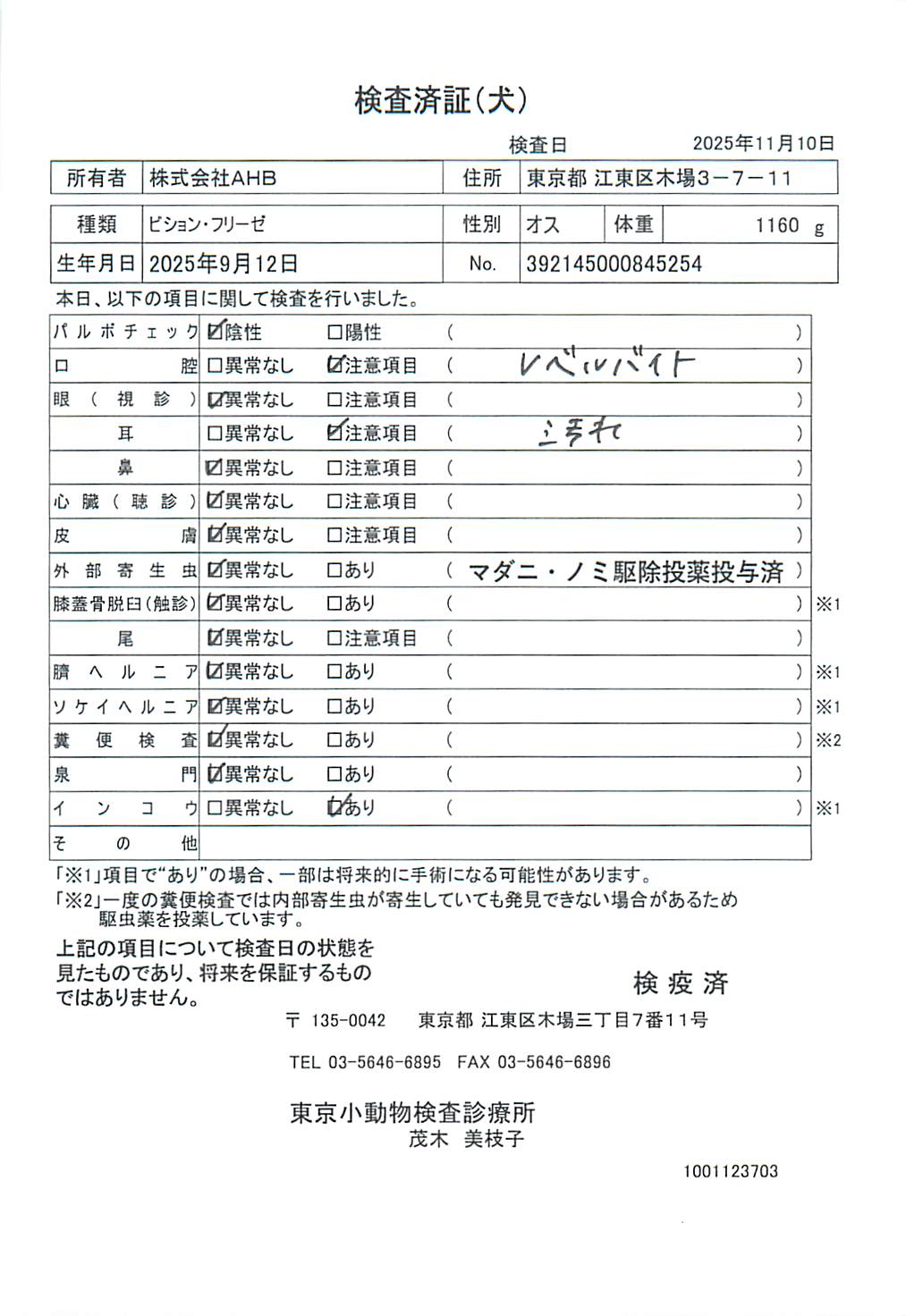 ビション・フリーゼ