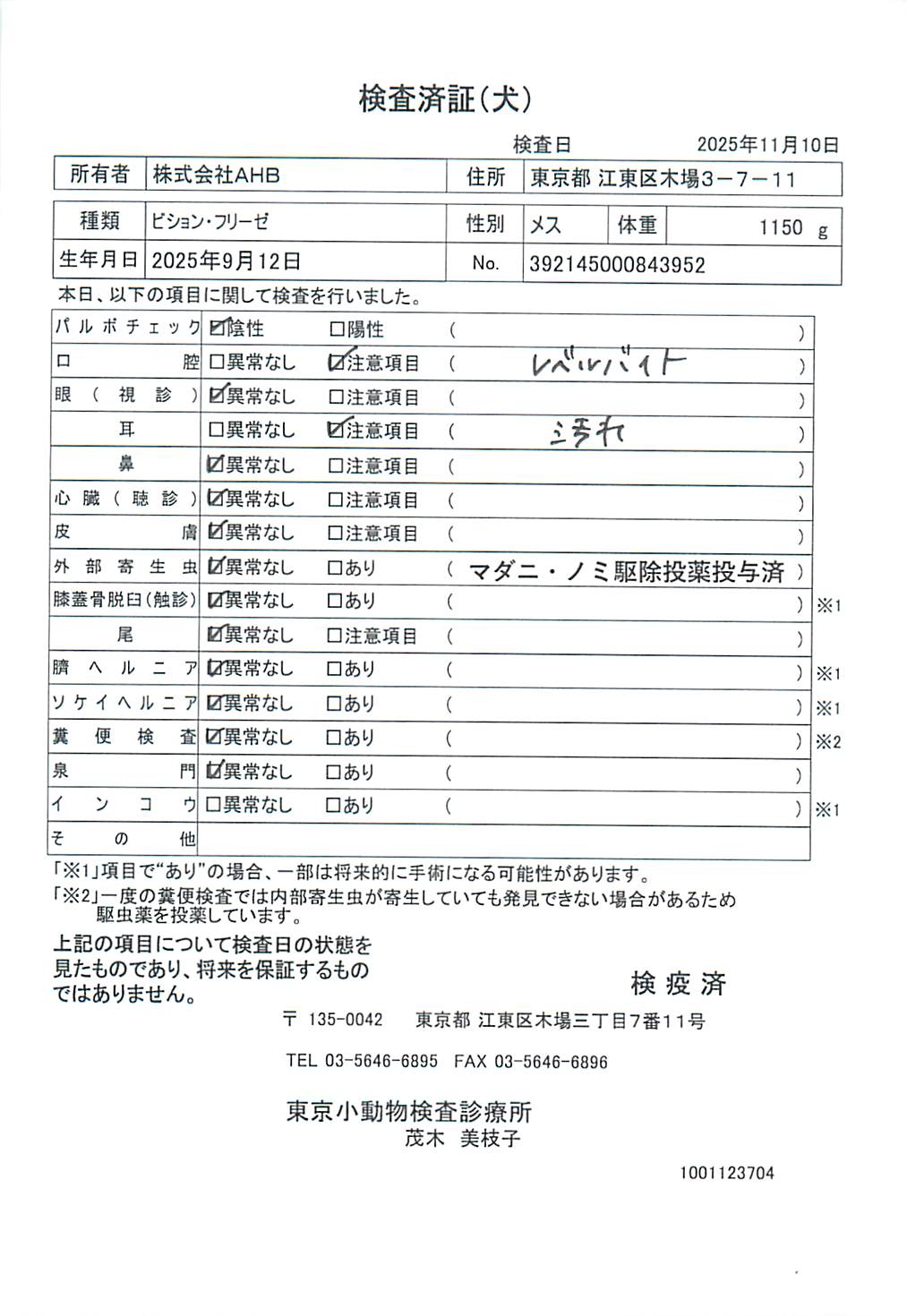 ビション・フリーゼ