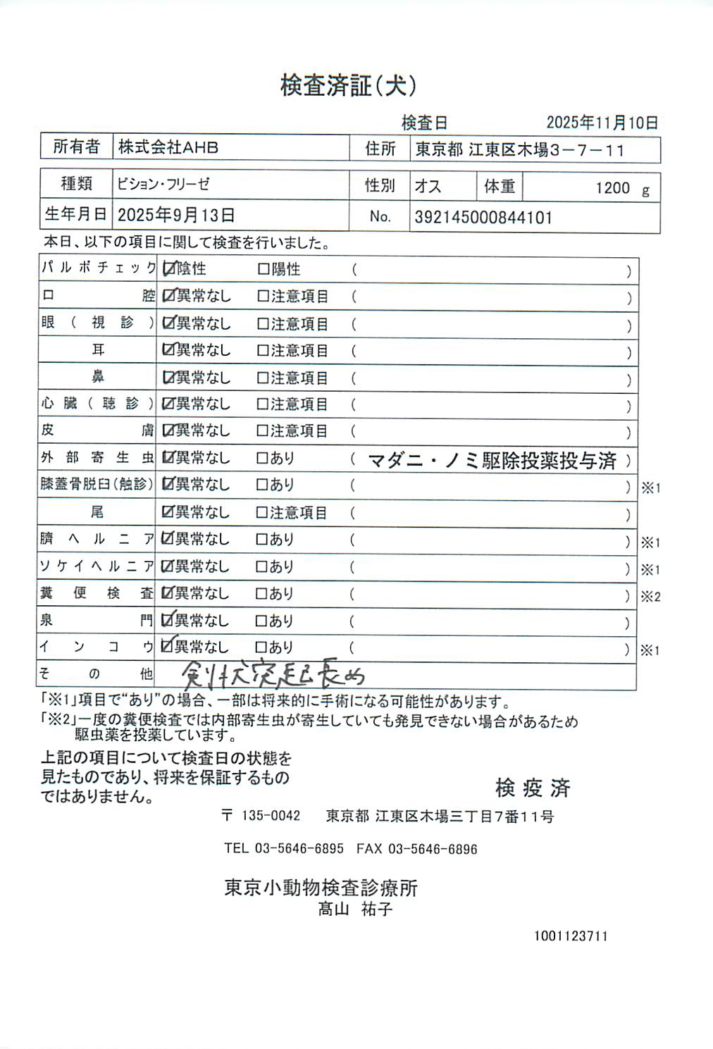 ビション・フリーゼ