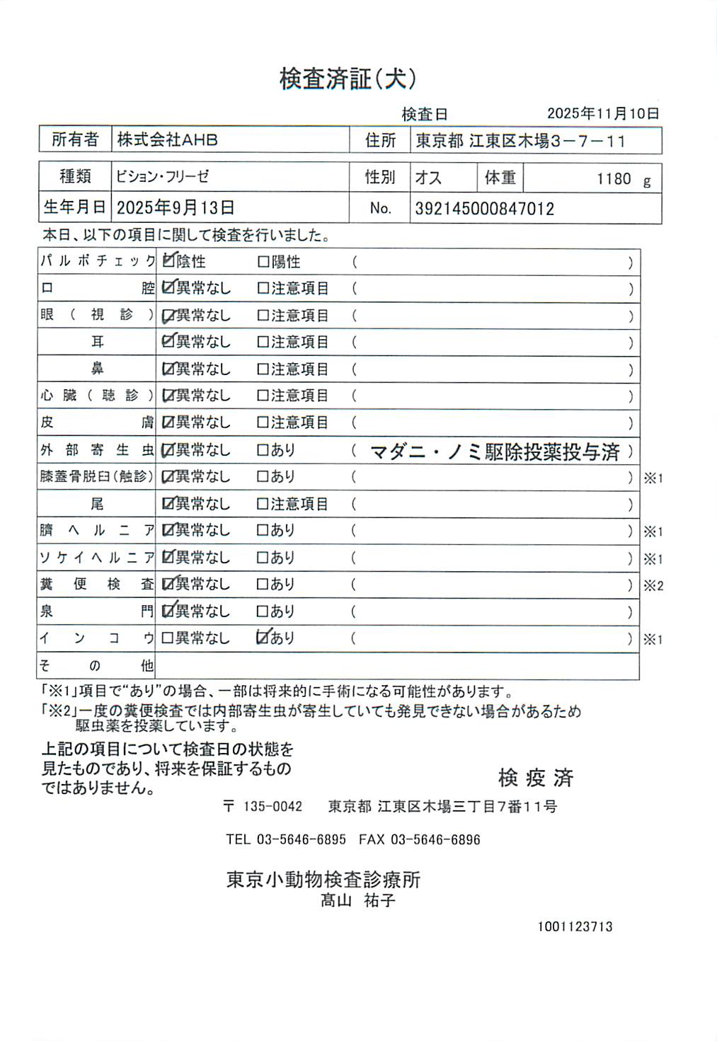 ビション・フリーゼ
