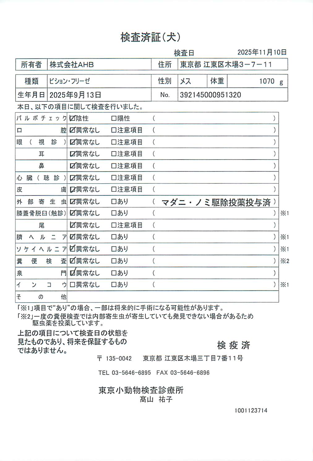 ビション・フリーゼ