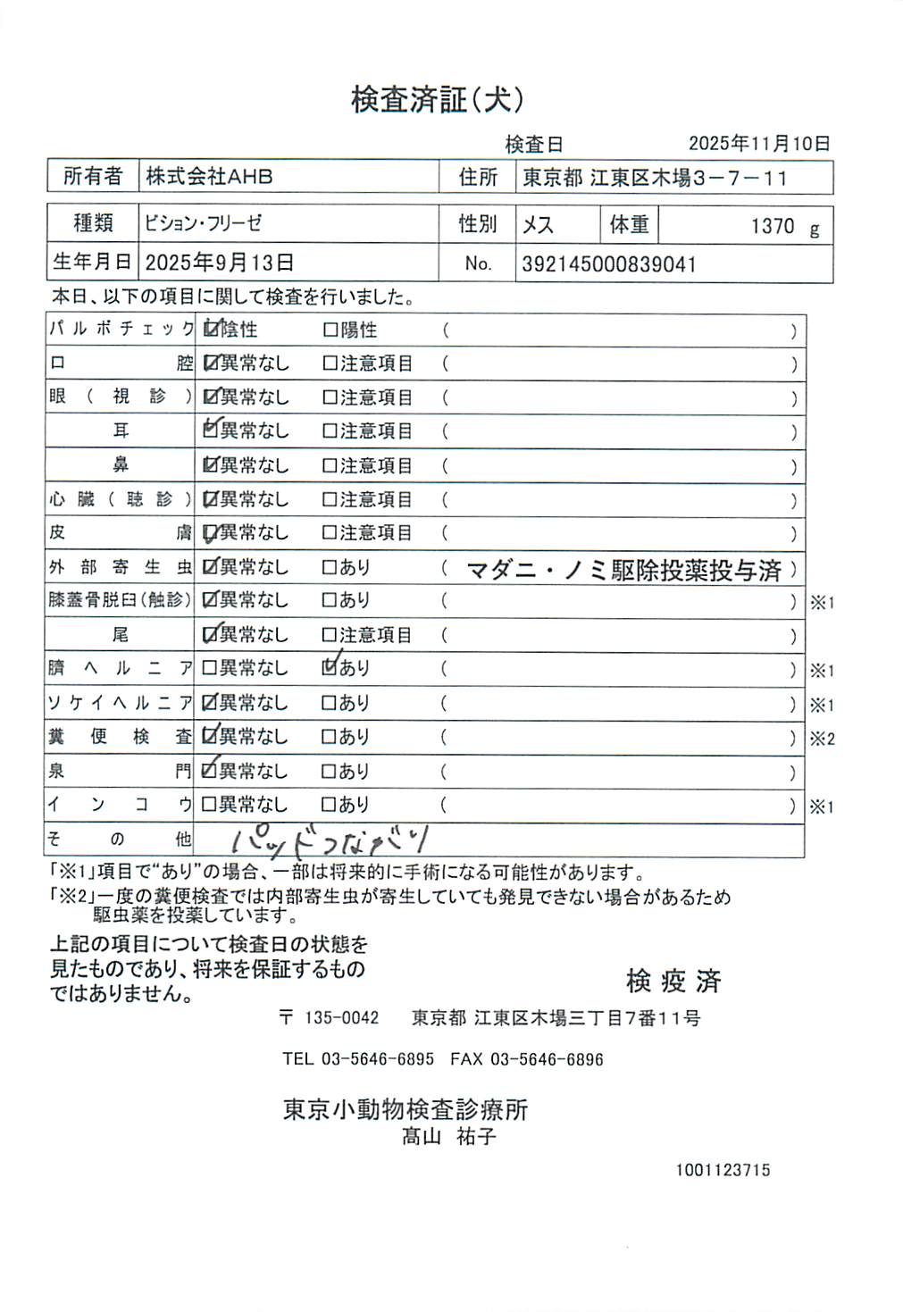 ビション・フリーゼ
