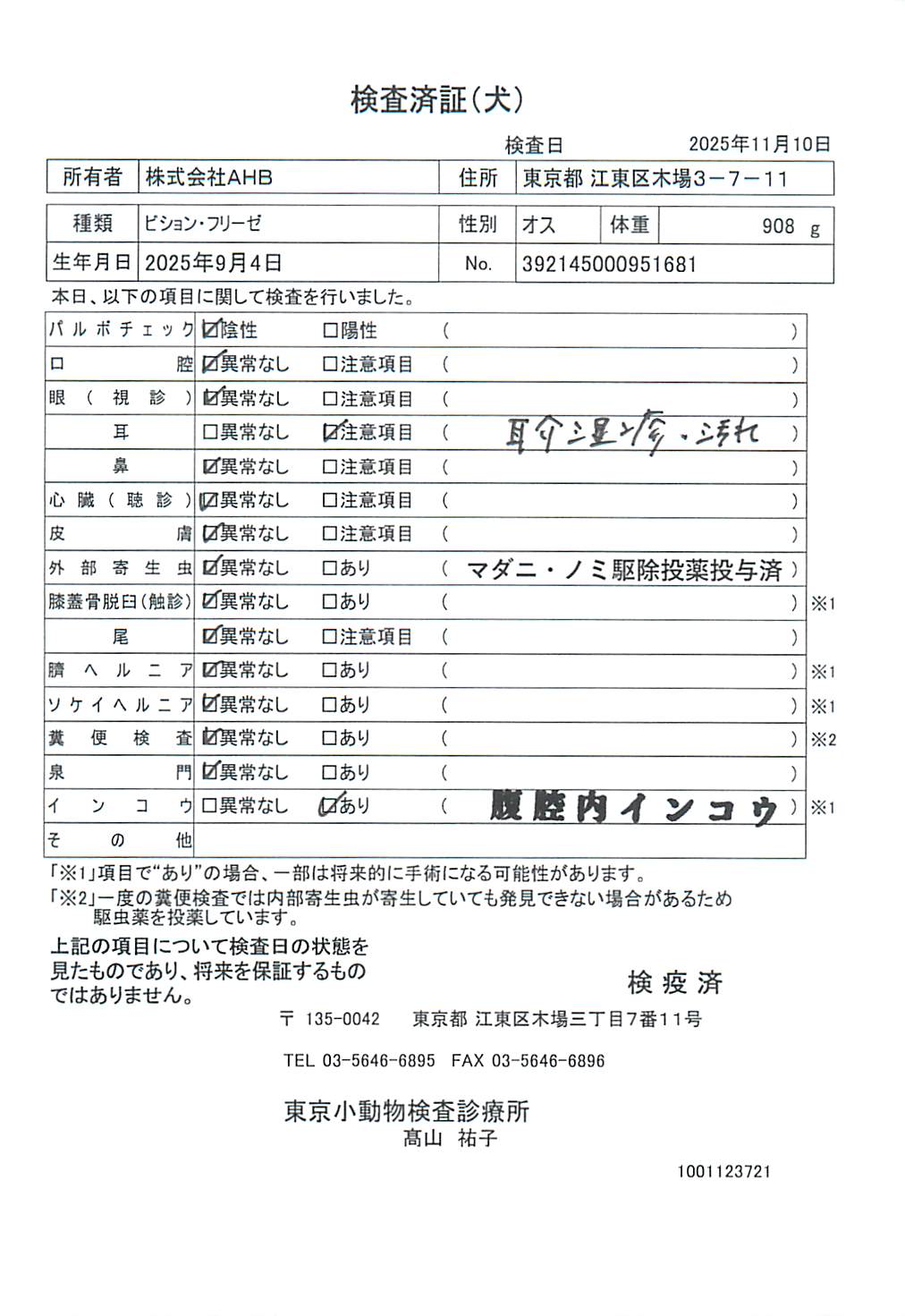 ビション・フリーゼ