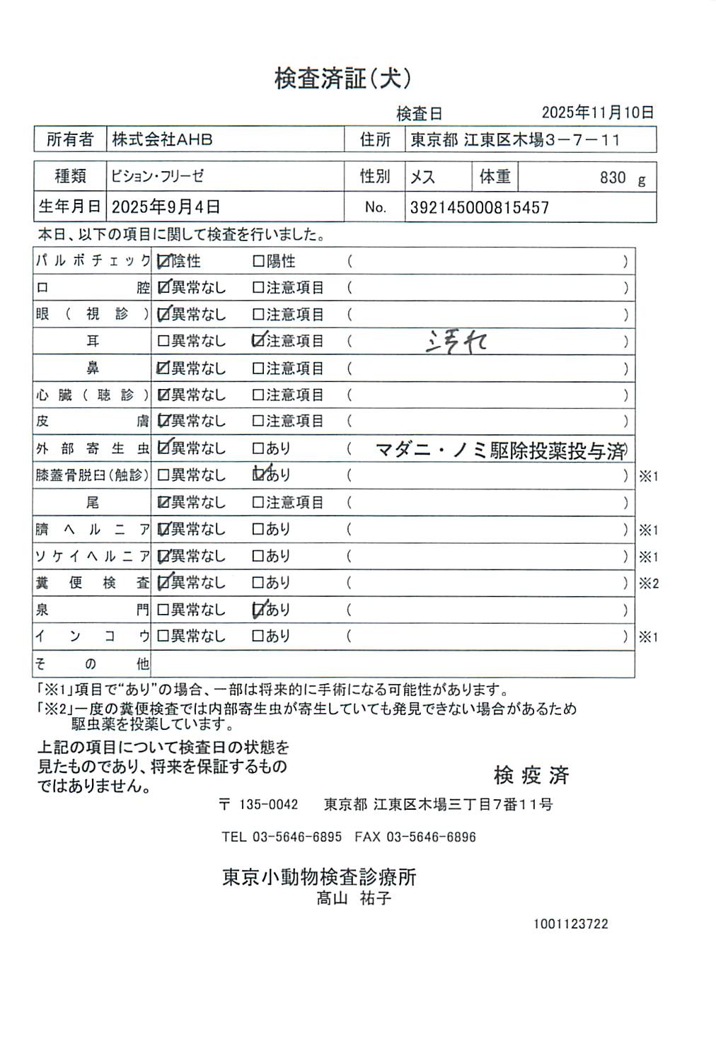 ビション・フリーゼ