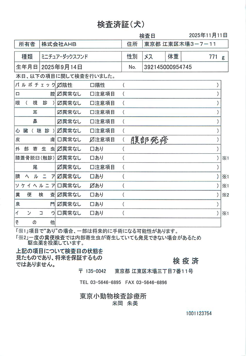 ミニチュア・ダックスフンド