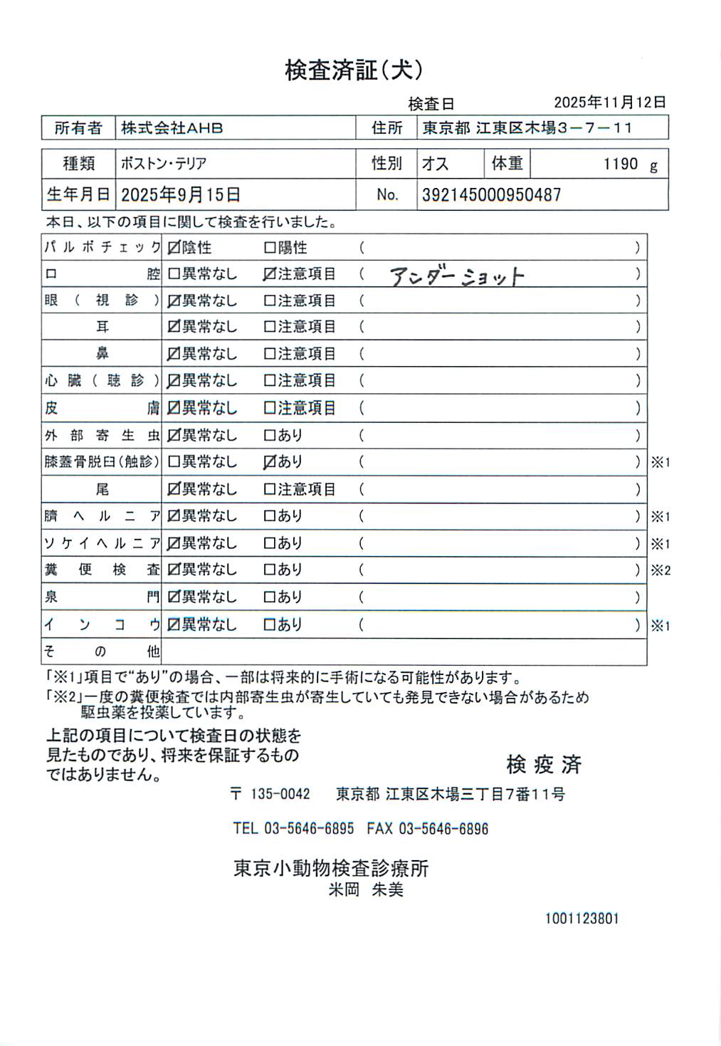 ボストン・テリア