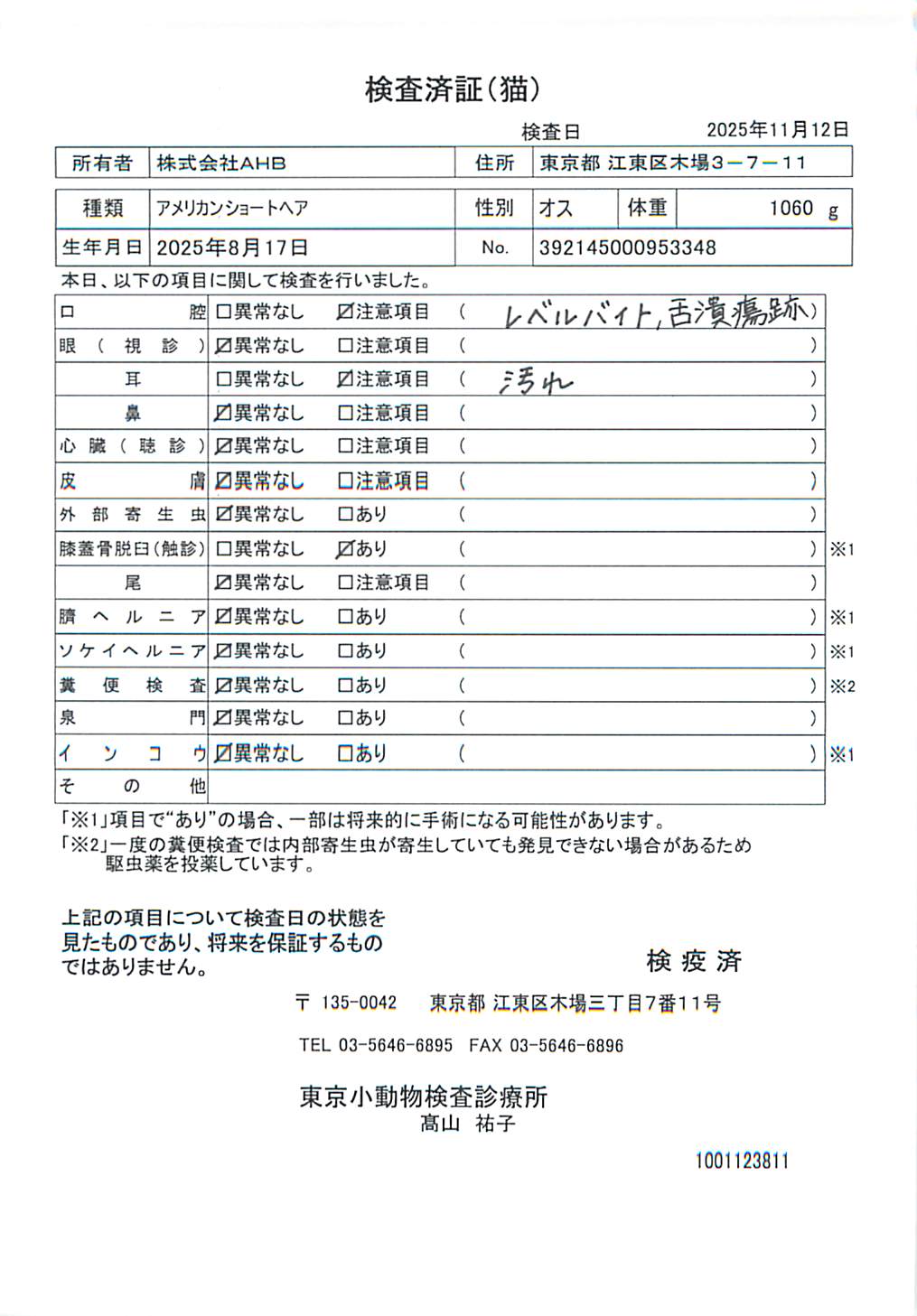 アメリカンショートヘア