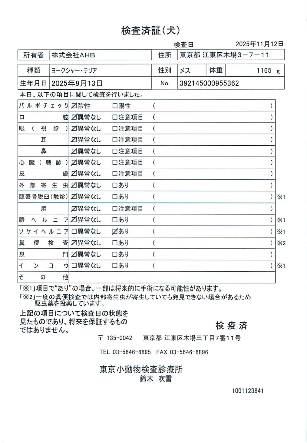 ヨークシャー・テリア