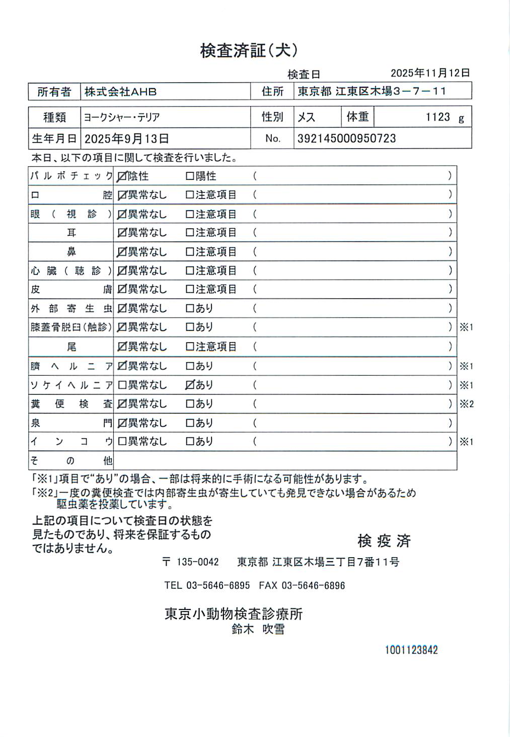 ヨークシャー・テリア