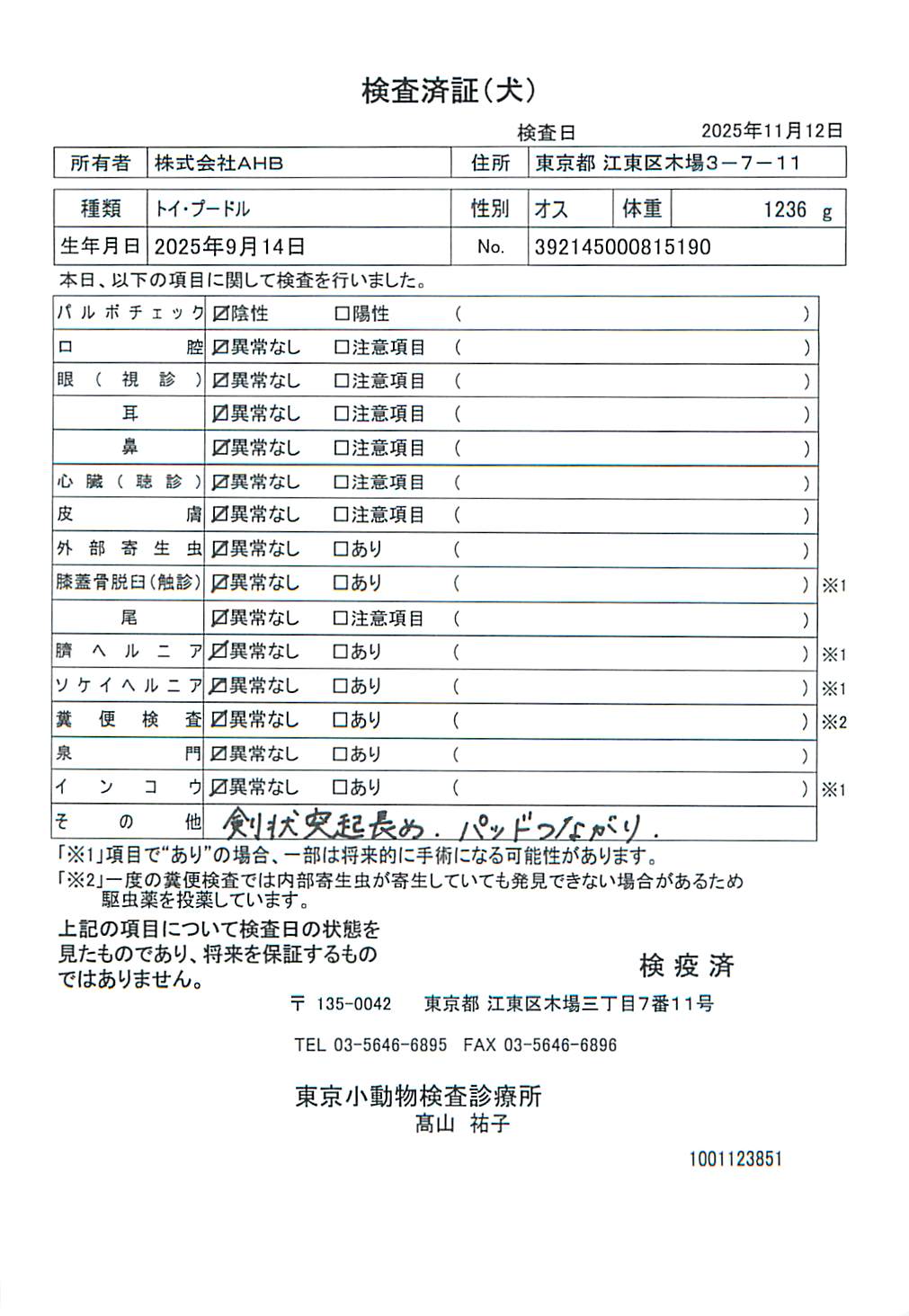 トイ・プードル