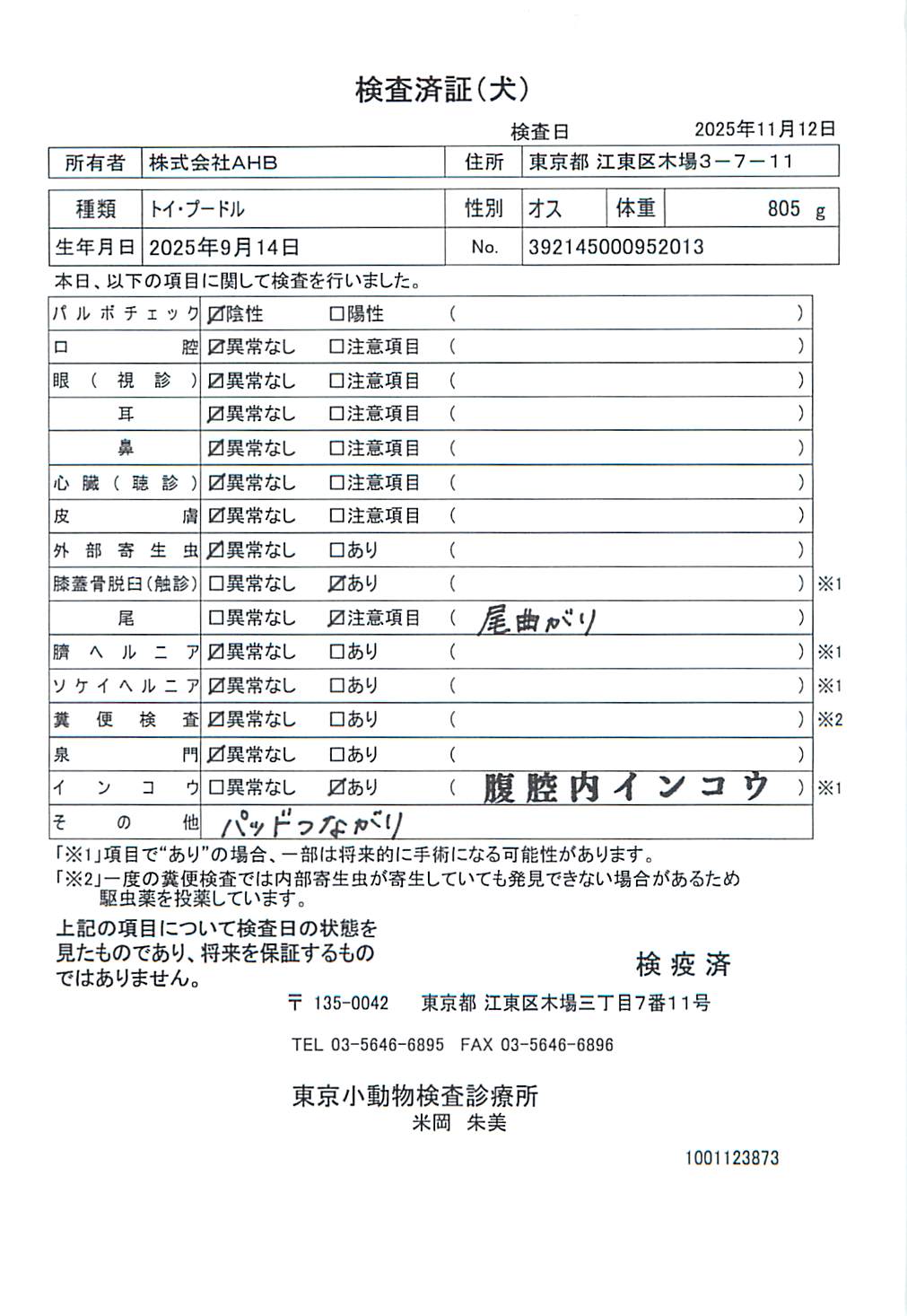 トイ・プードル