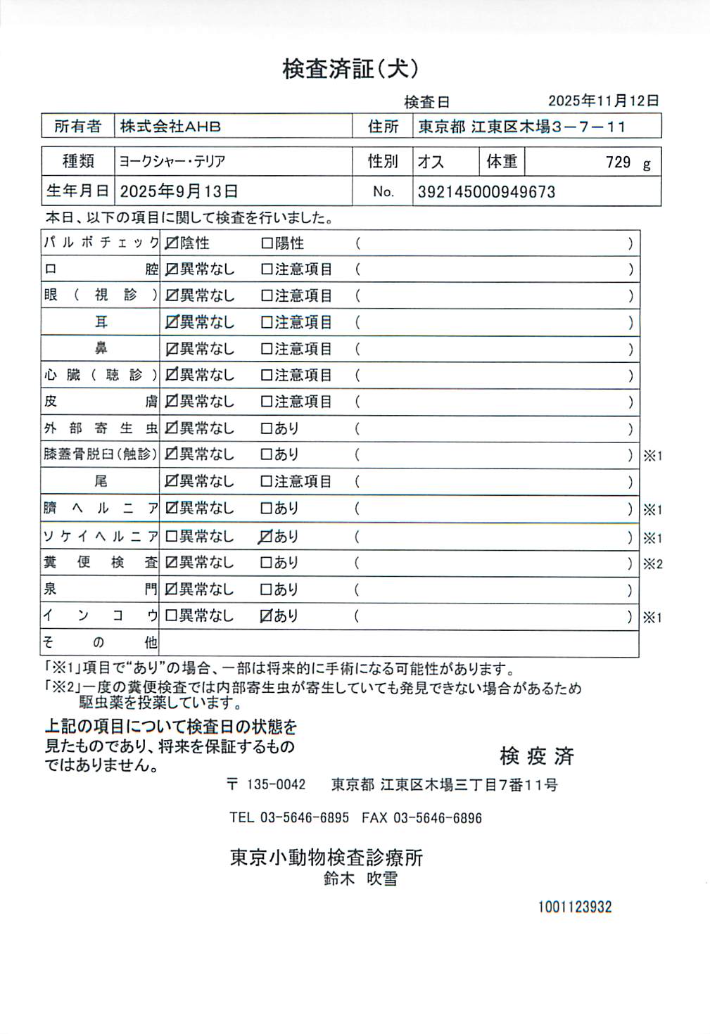 ヨークシャー・テリア