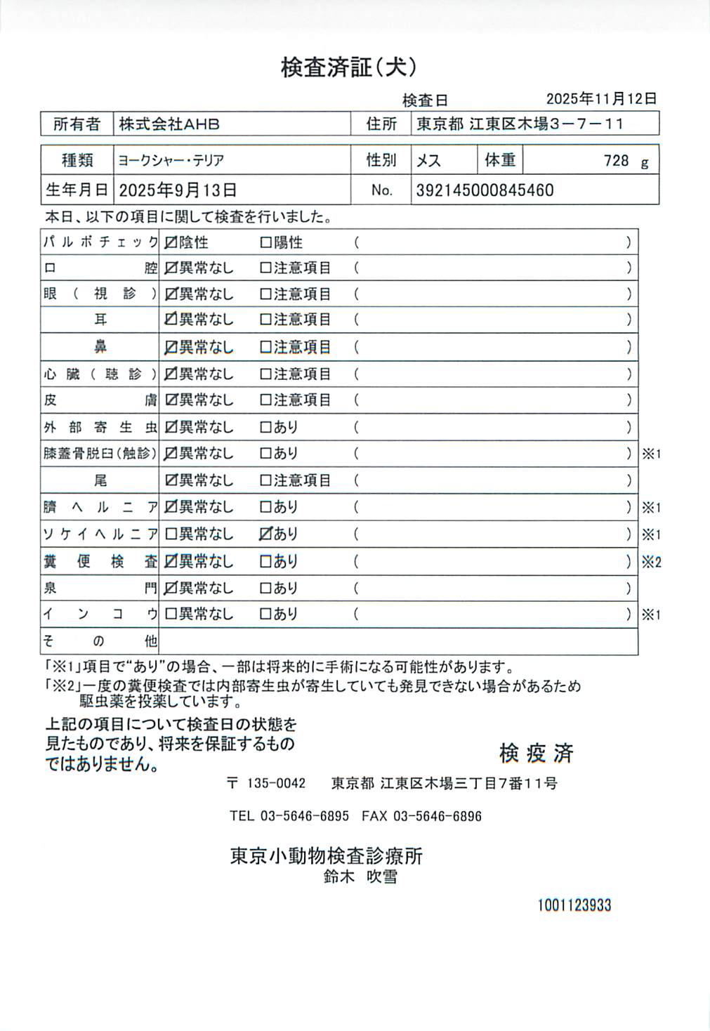 ヨークシャー・テリア