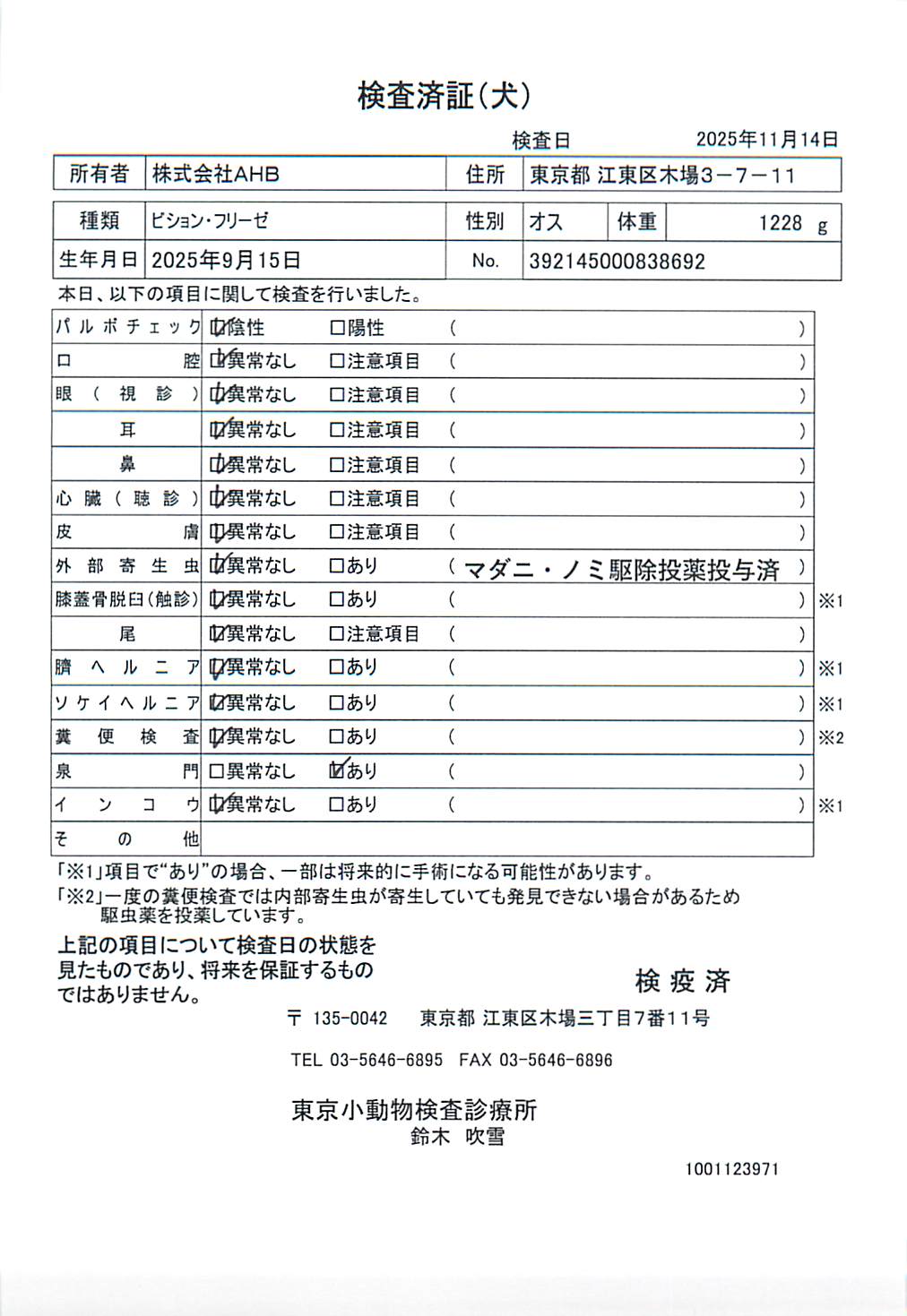 ビション・フリーゼ