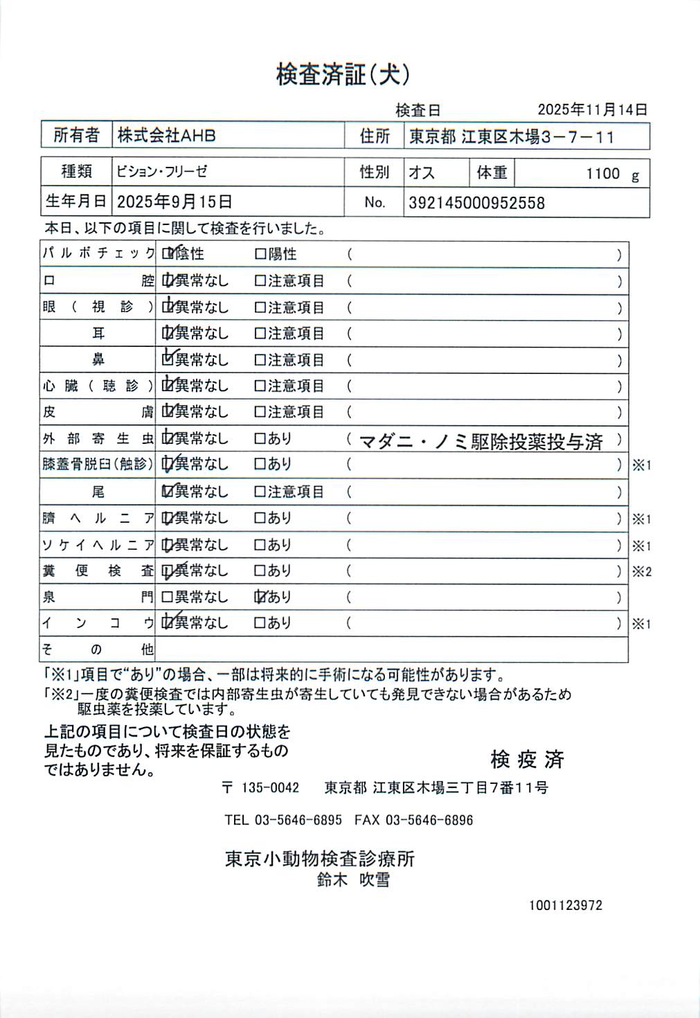 ビション・フリーゼ