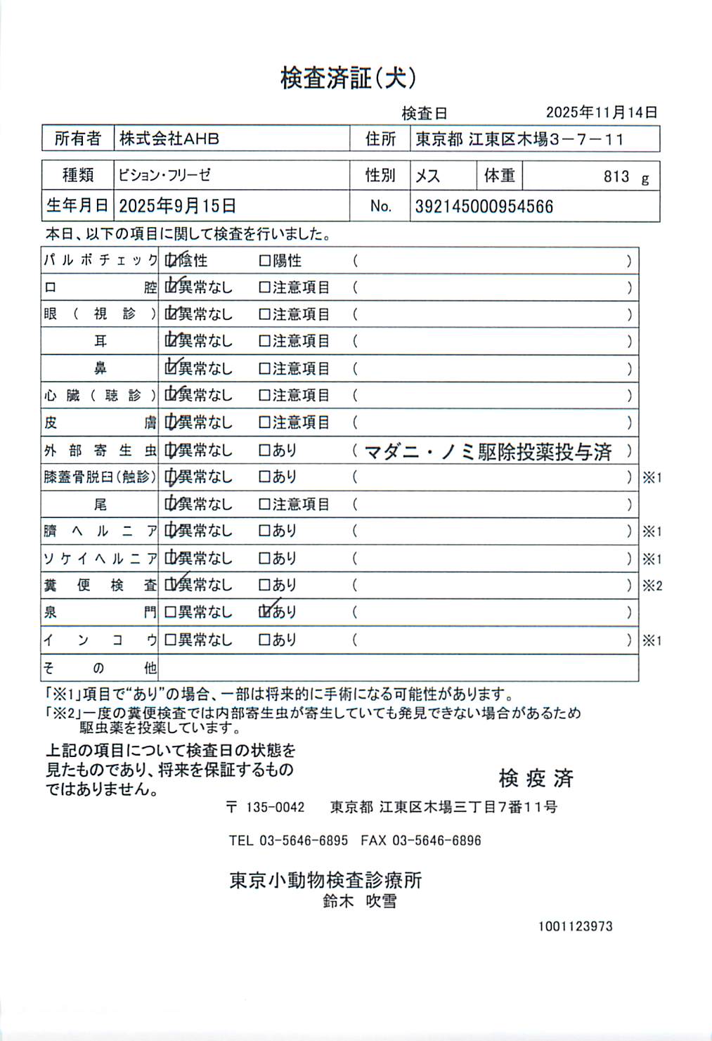 ビション・フリーゼ