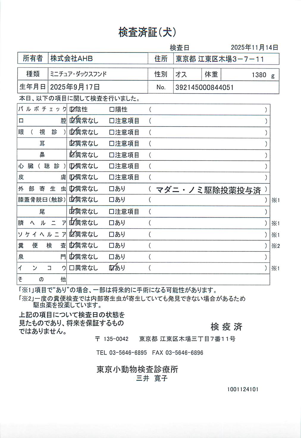 ミニチュア・ダックスフンド