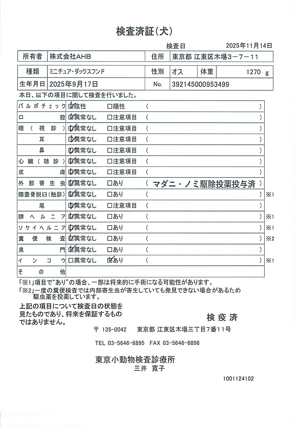 ミニチュア・ダックスフンド