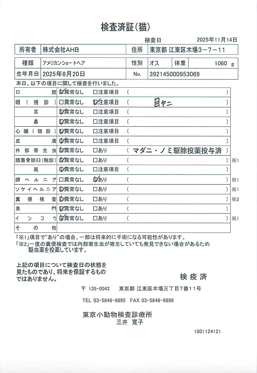 アメリカンショートヘア