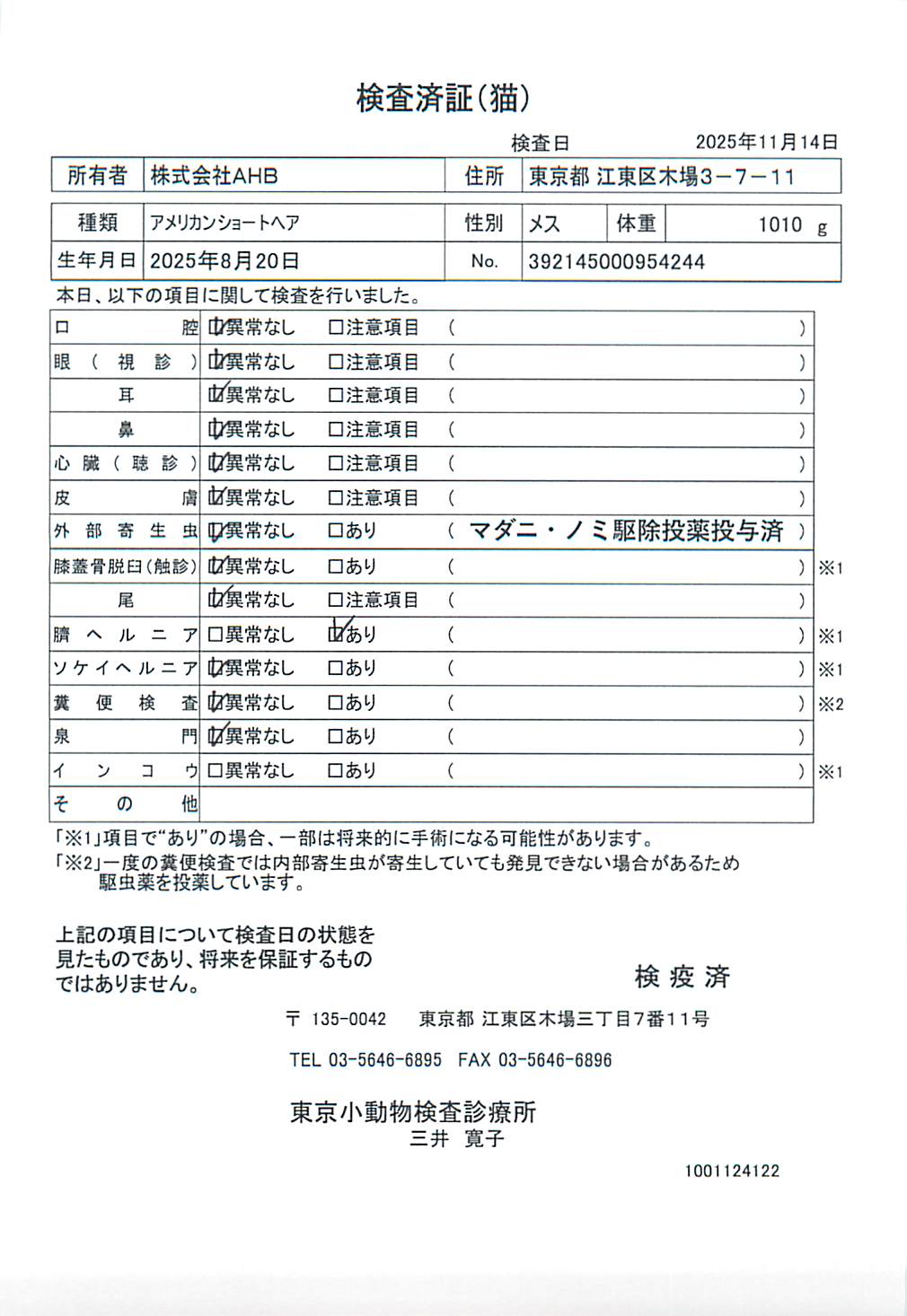 アメリカンショートヘア