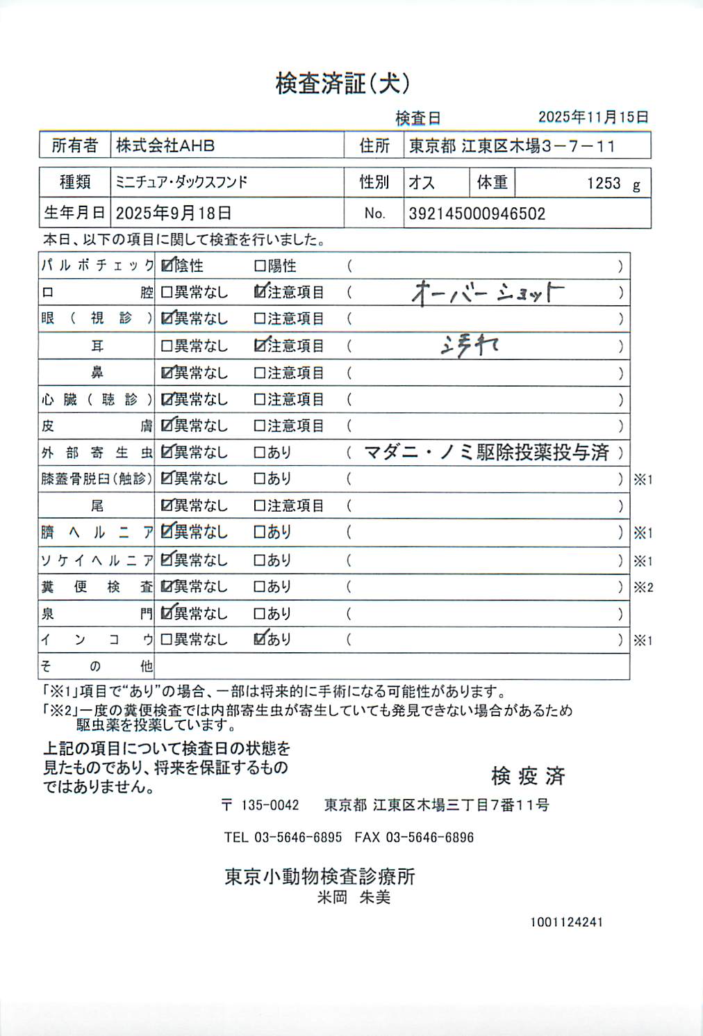 ミニチュア・ダックスフンド