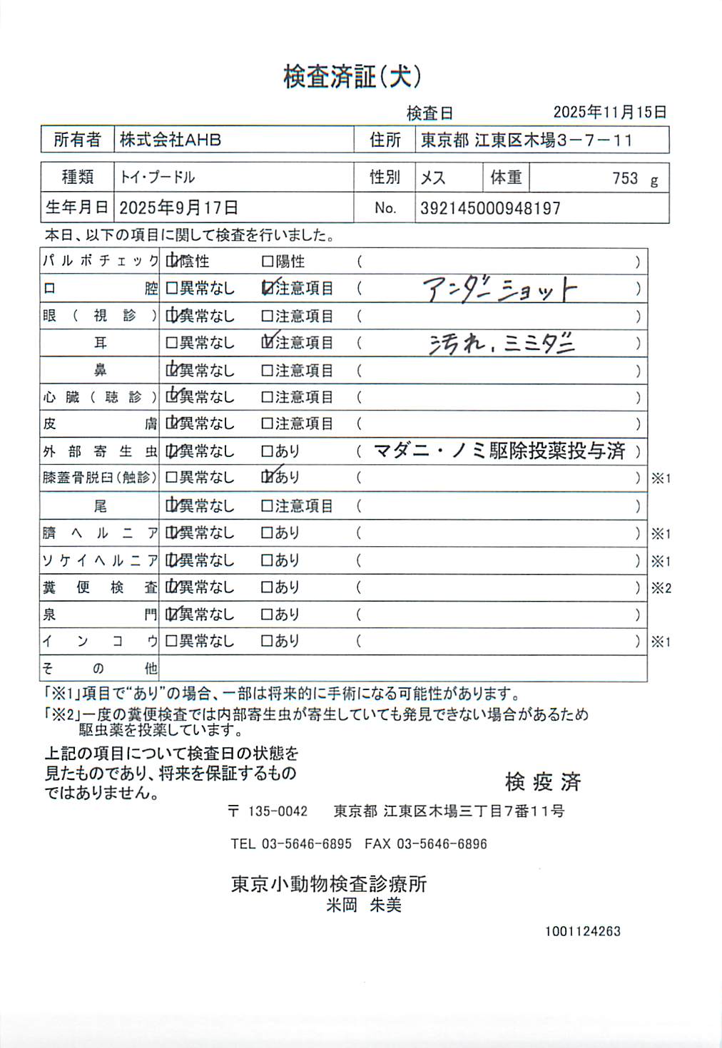 トイ・プードル
