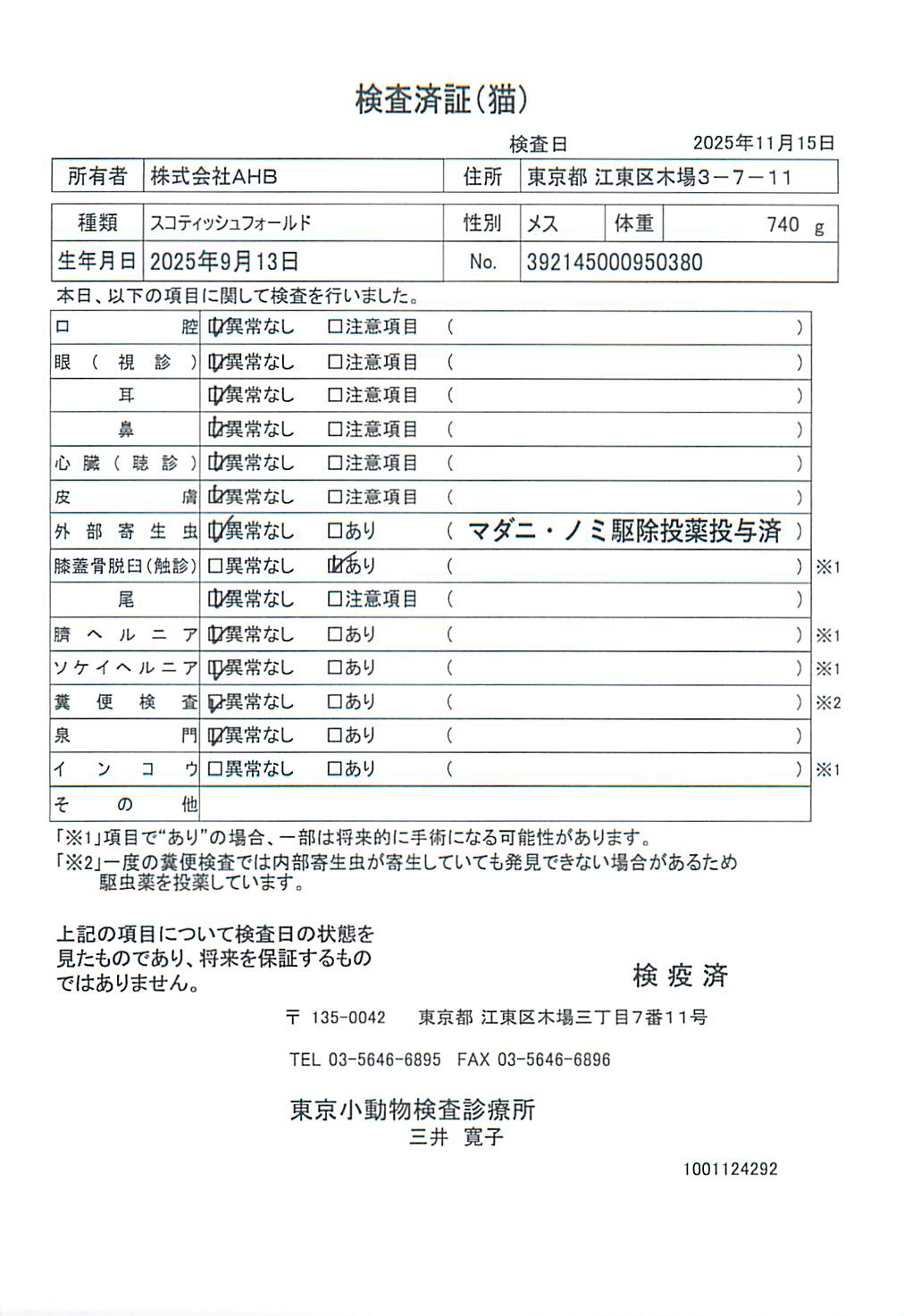 スコティッシュフォールド