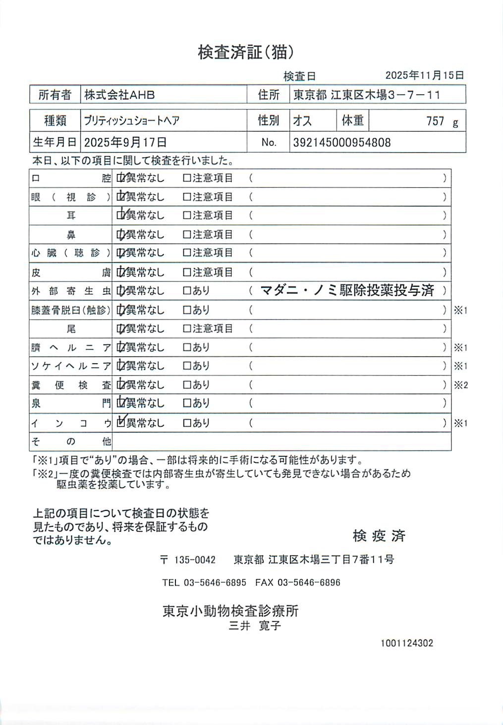 ブリティッシュショートヘア