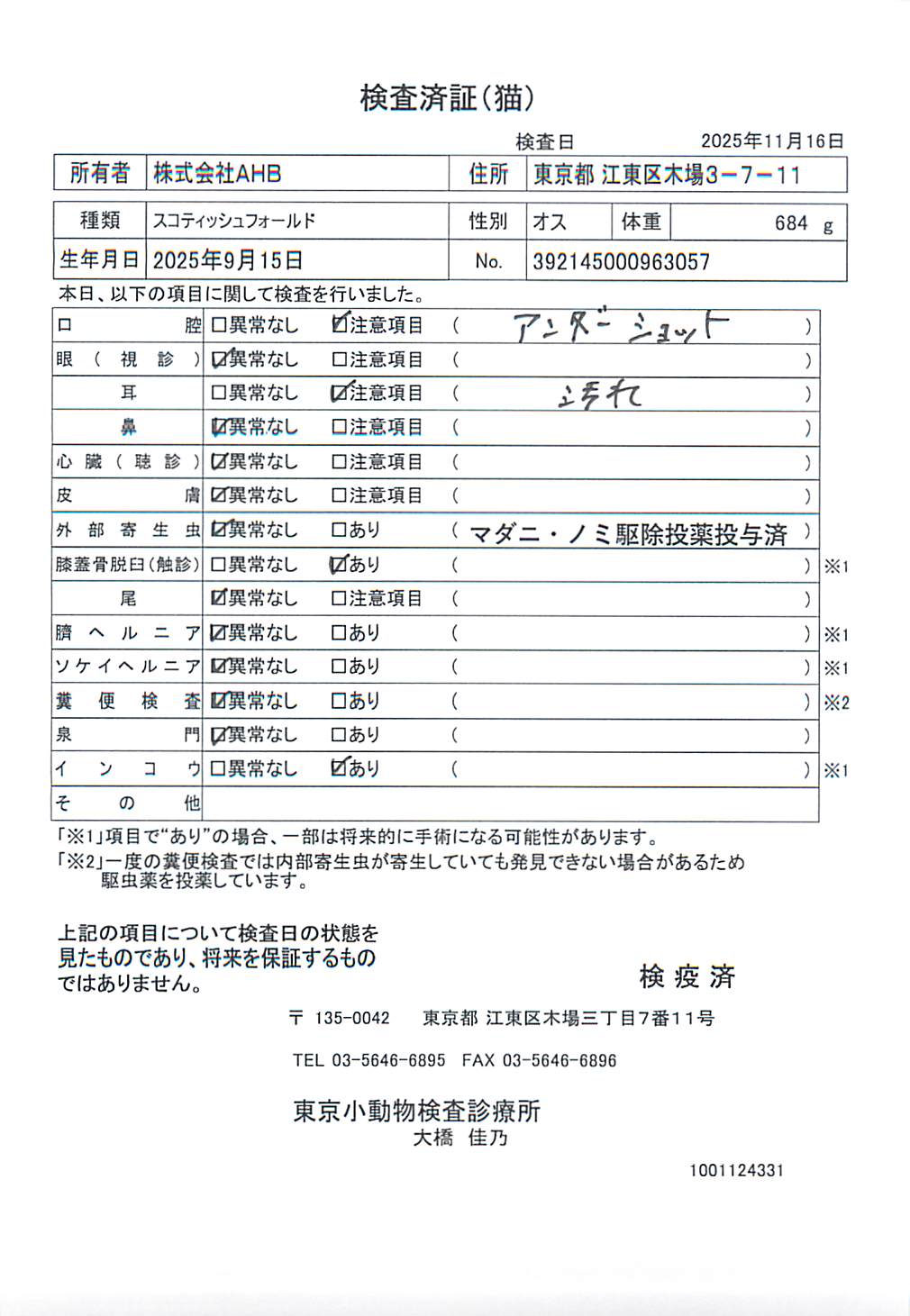 スコティッシュフォールド