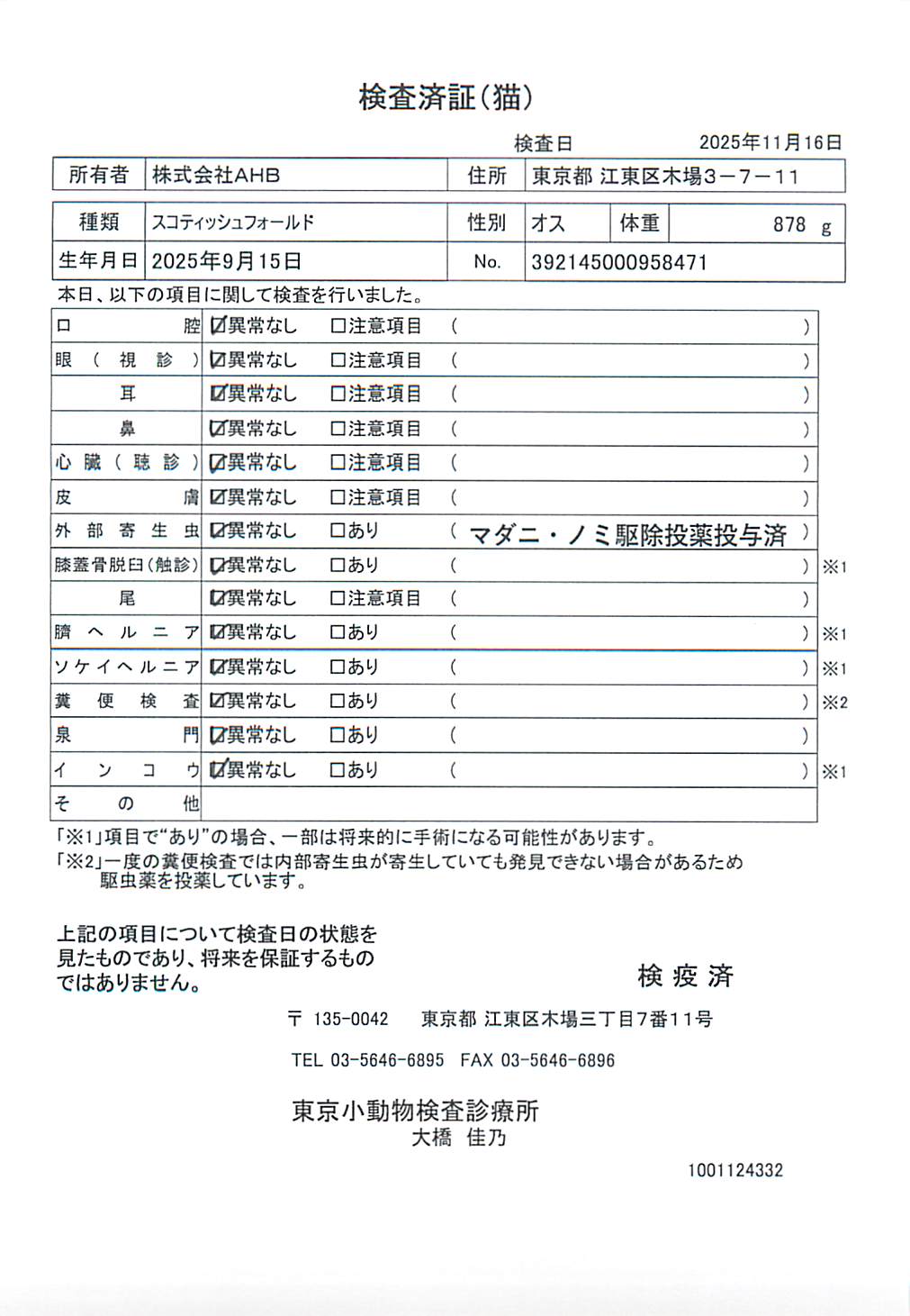 スコティッシュフォールド