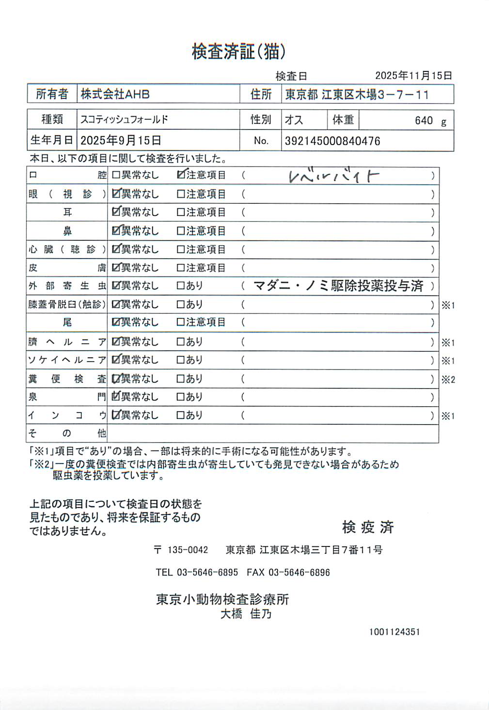 スコティッシュフォールド