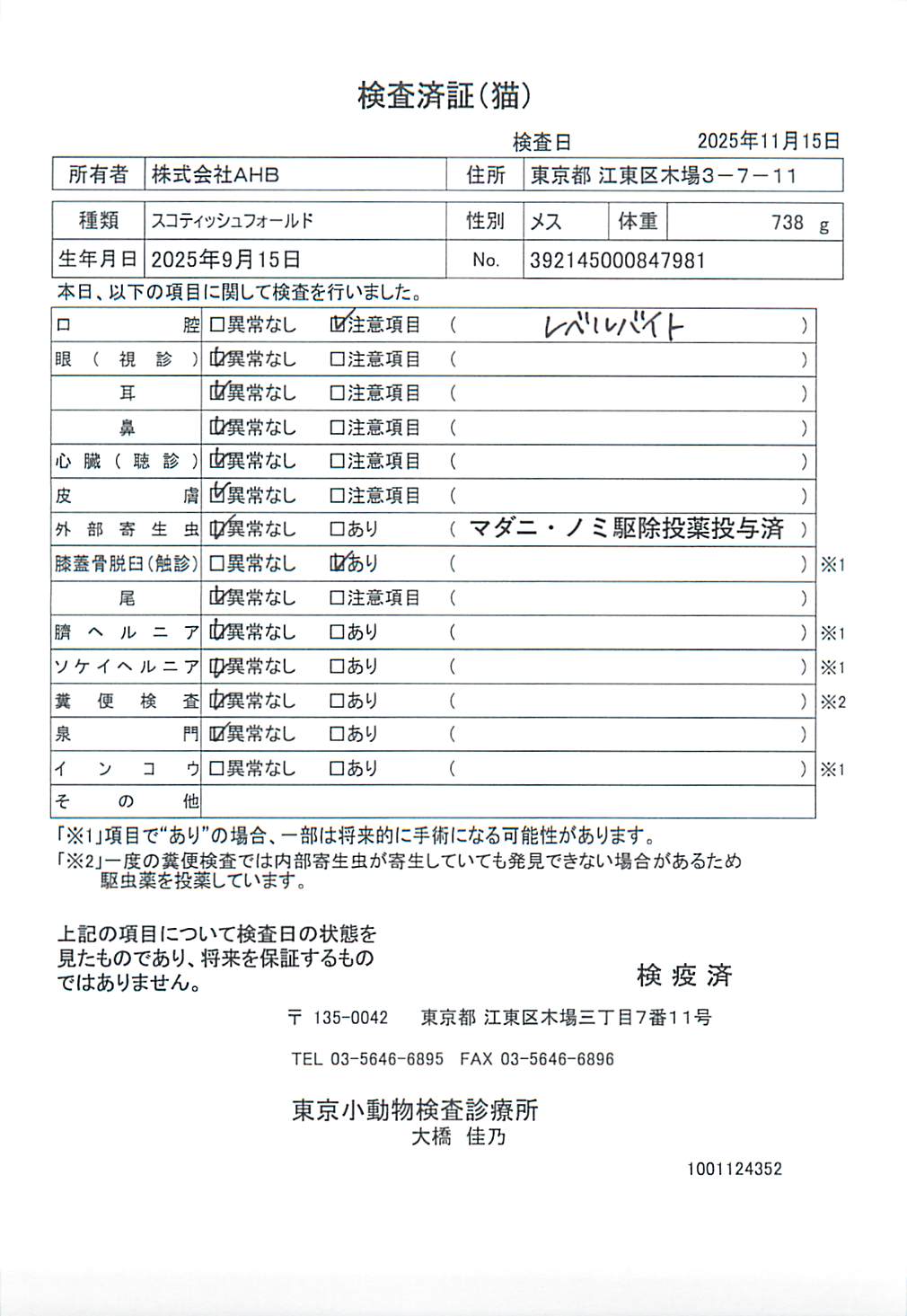 スコティッシュフォールド