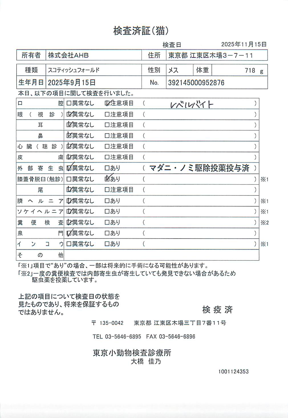 スコティッシュフォールド