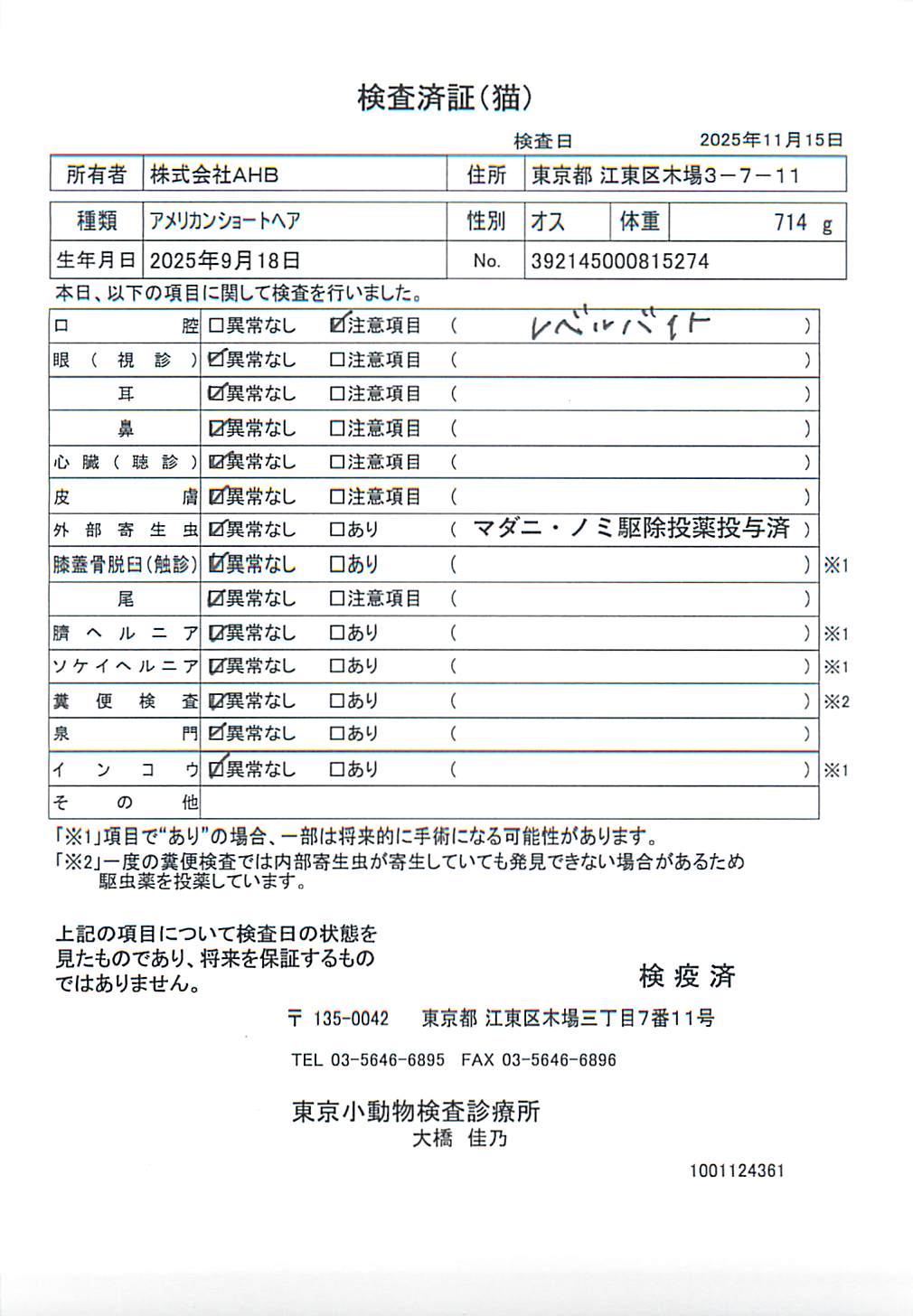 アメリカンショートヘア