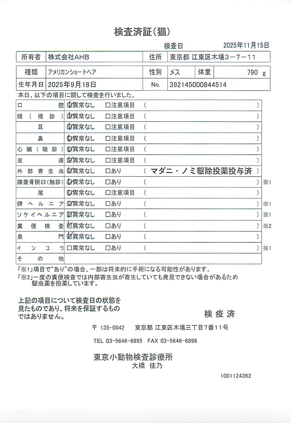 アメリカンショートヘア
