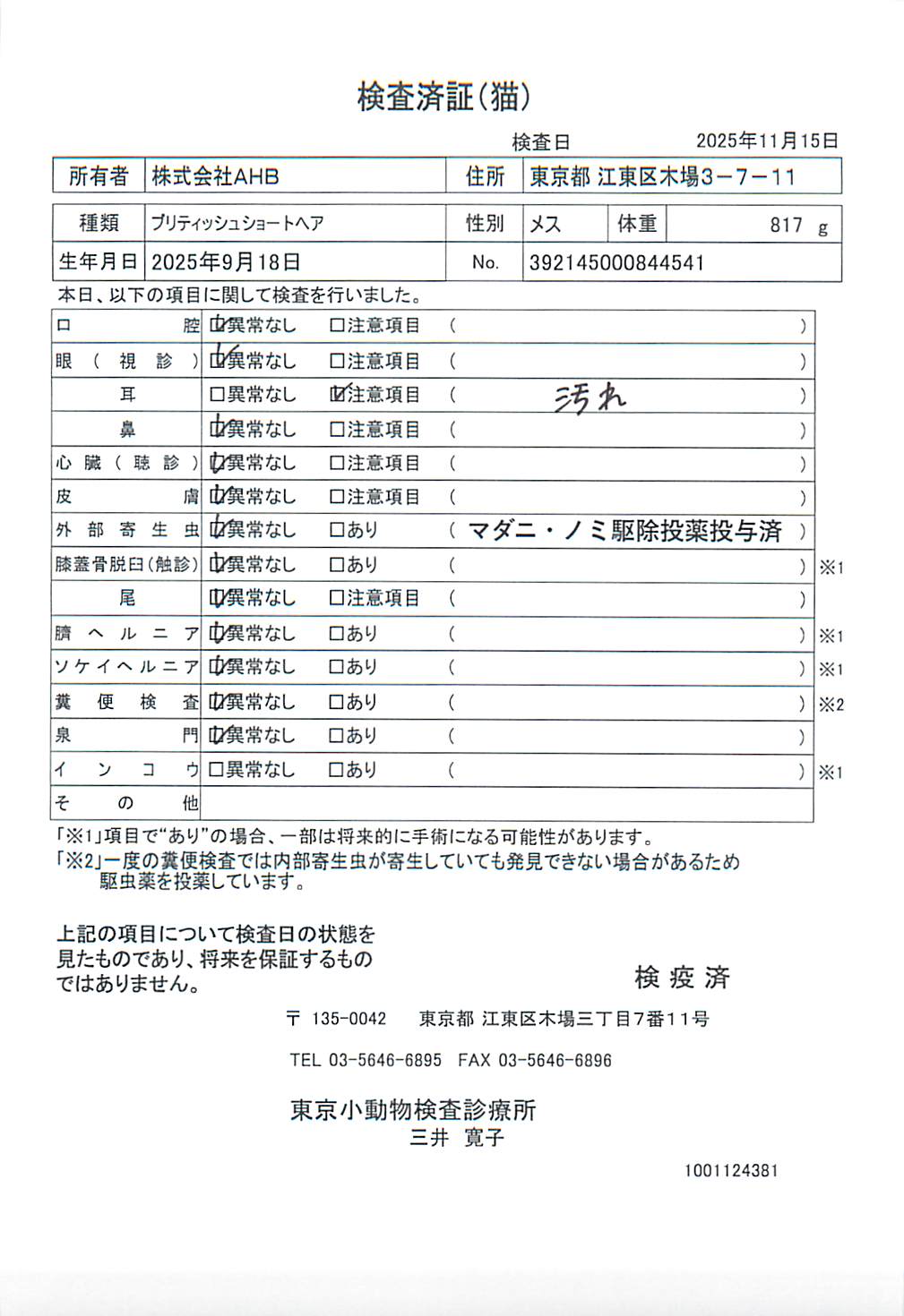 ブリティッシュショートヘア