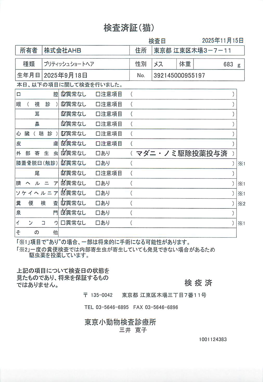 ブリティッシュショートヘア