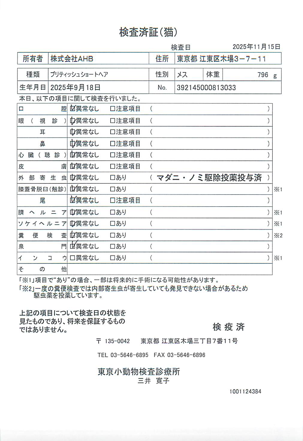 ブリティッシュショートヘア