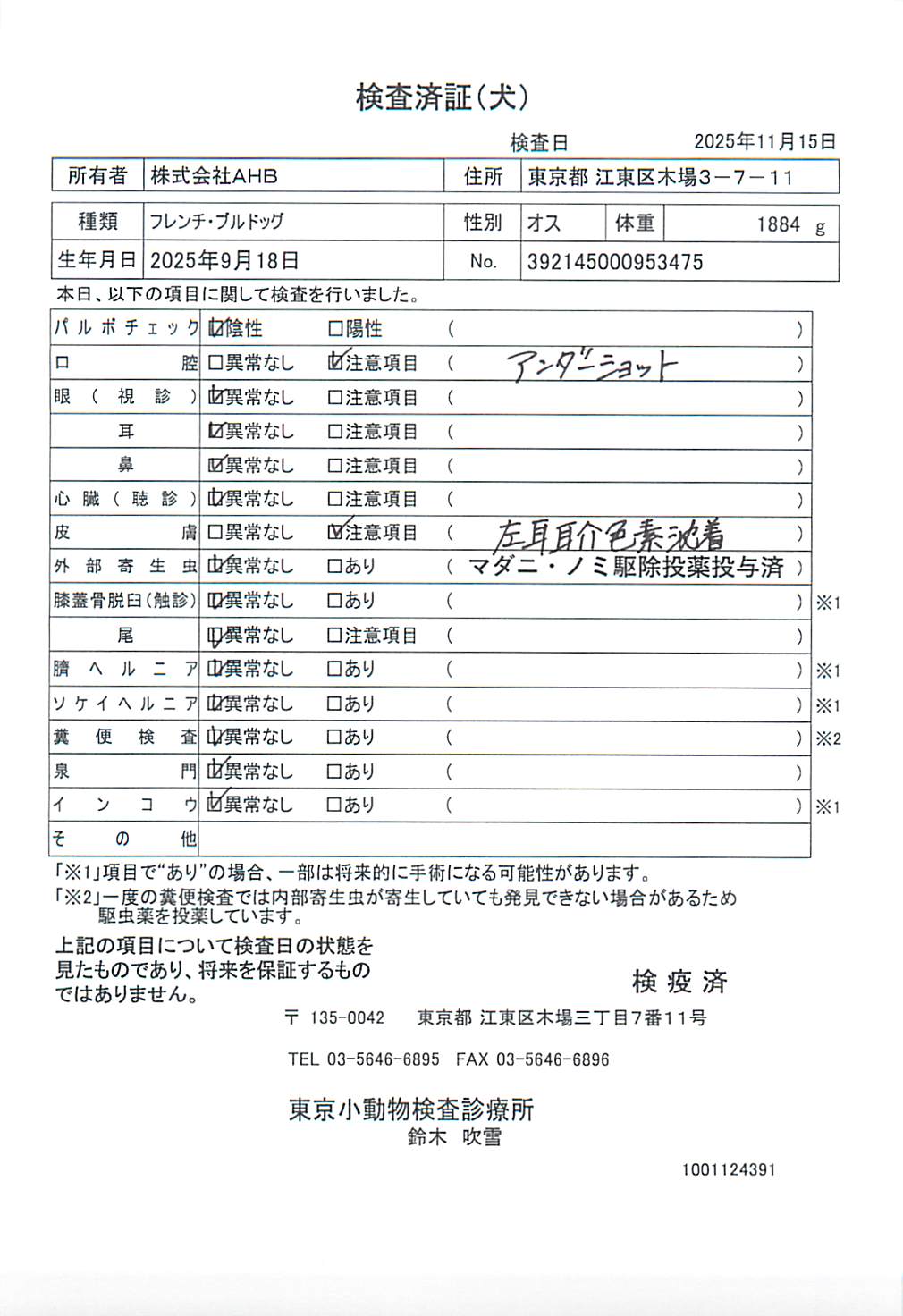 フレンチ・ブルドッグ