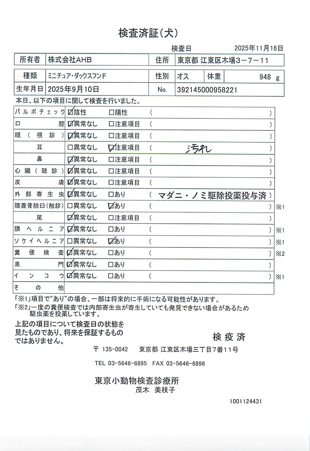 ミニチュア・ダックスフンド