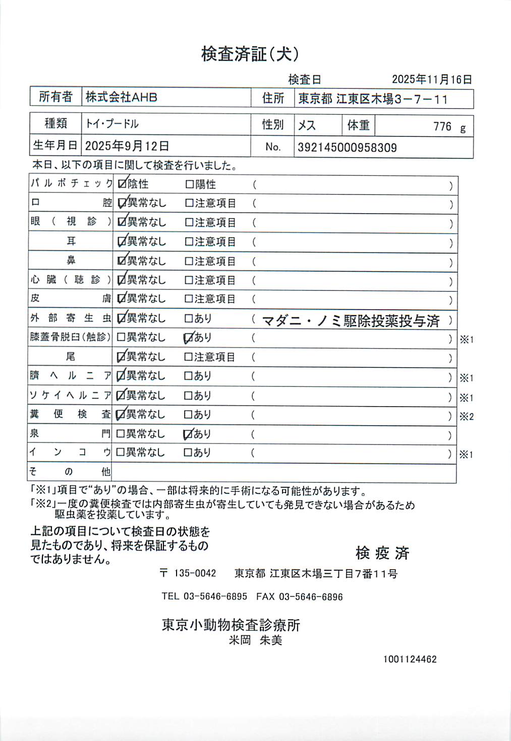トイ・プードル