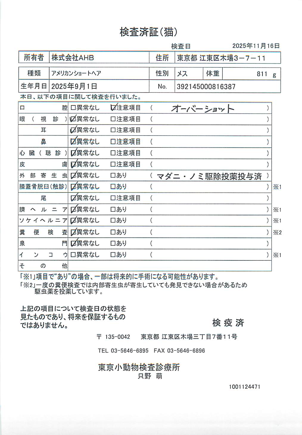 アメリカンショートヘア
