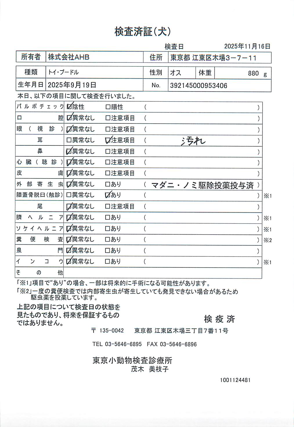 トイ・プードル
