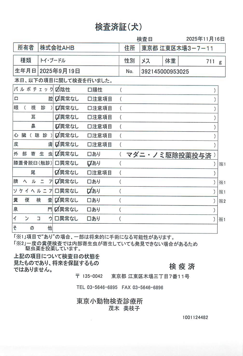 トイ・プードル
