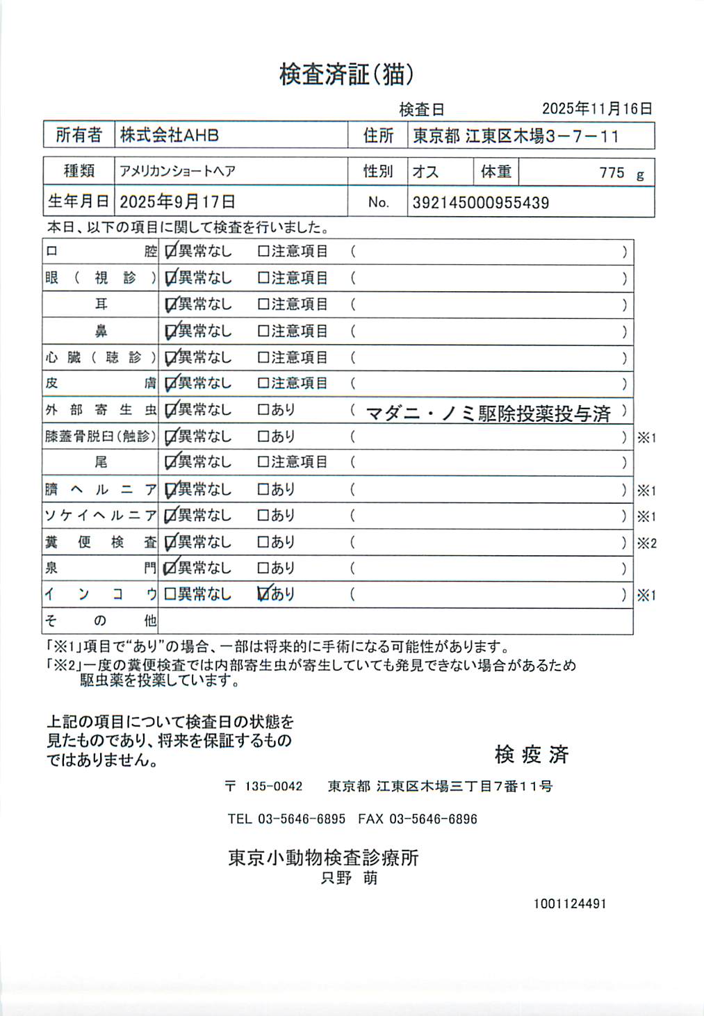 アメリカンショートヘア