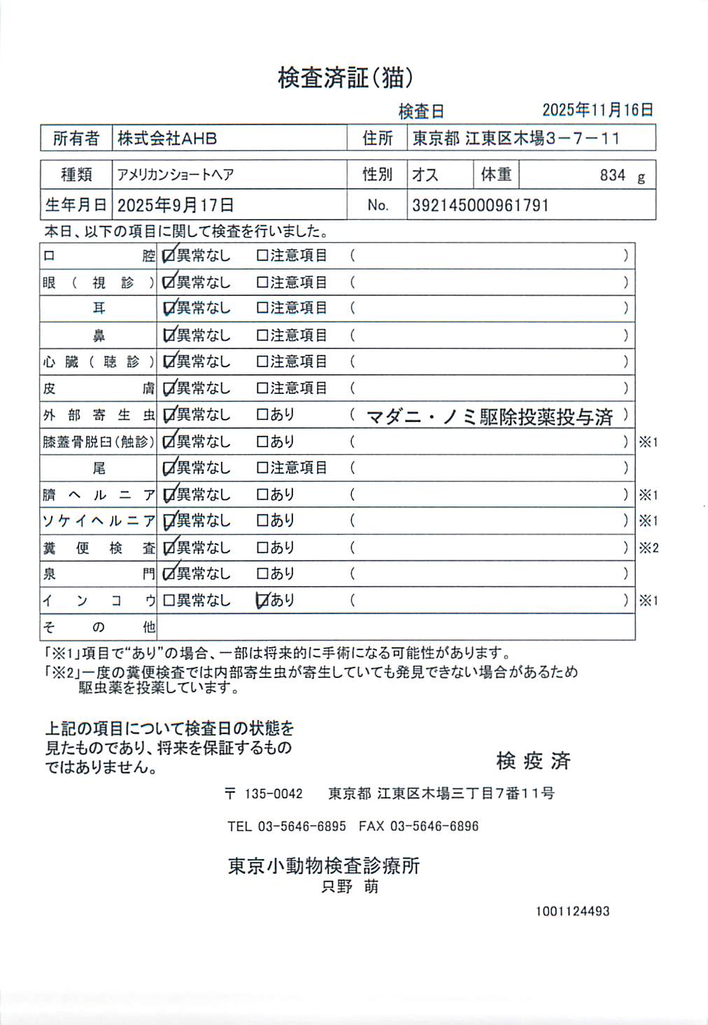 アメリカンショートヘア