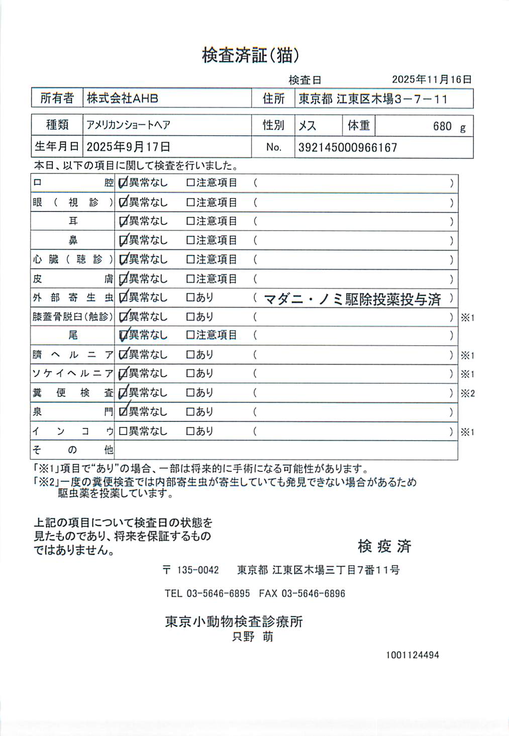 アメリカンショートヘア
